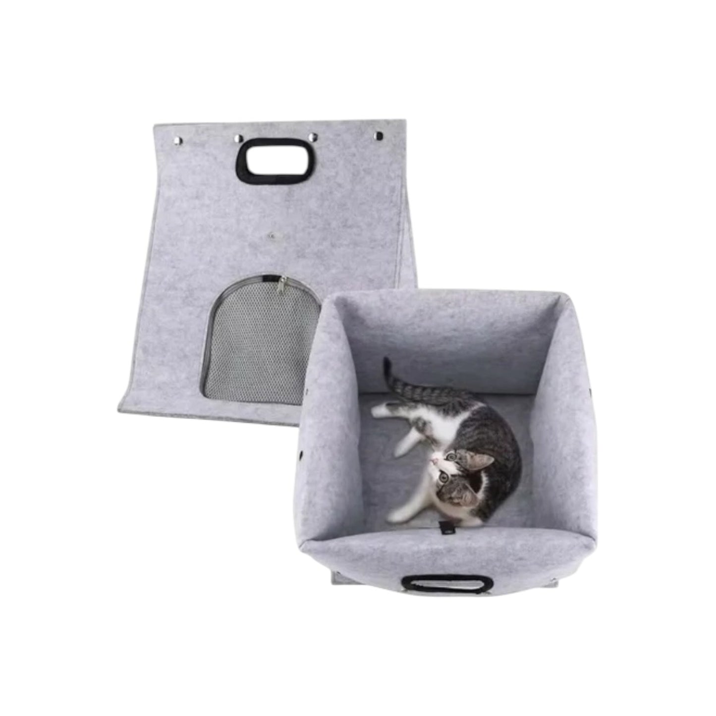 Maison pour chat design