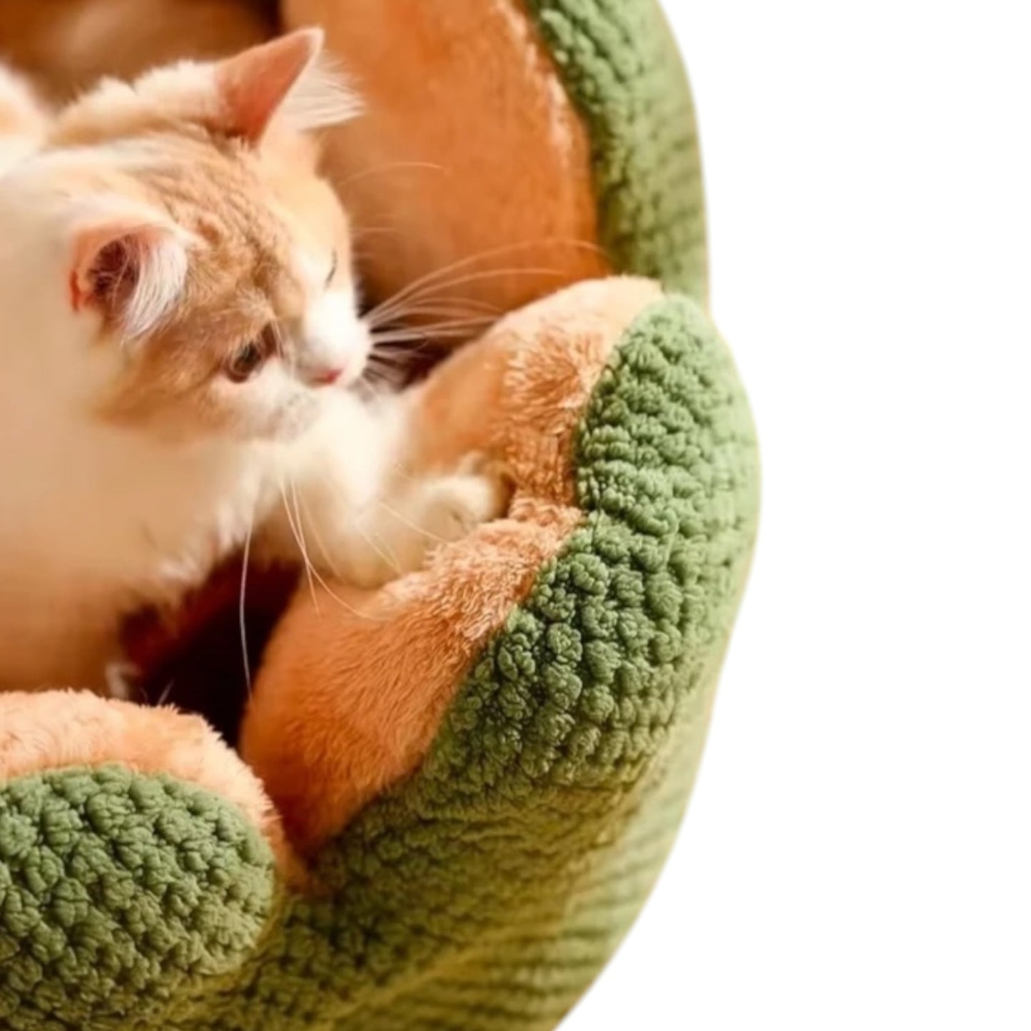 Cat Bean Bag Bed – Plush Pouf Ottoman for Cats