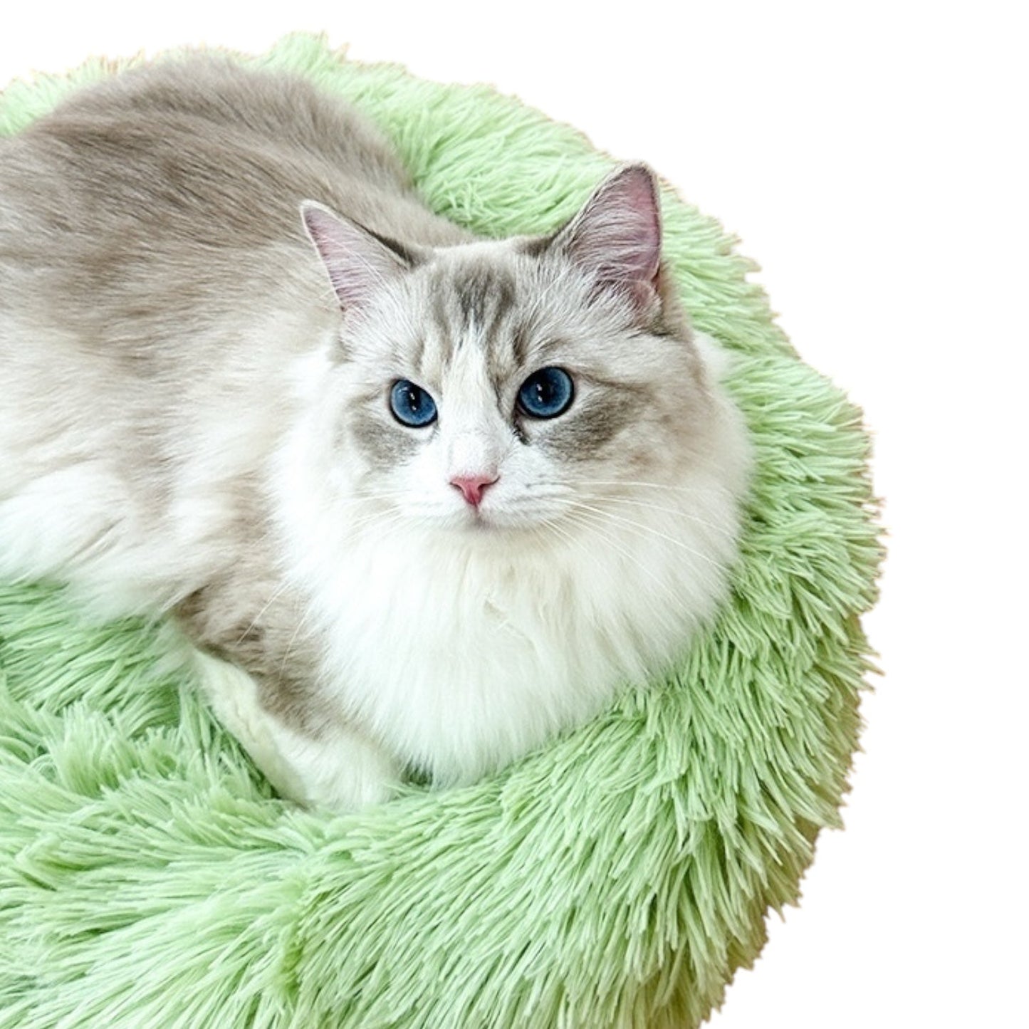 Cat Pouf Bed – Cozy Bean Bag Ottoman for Cats