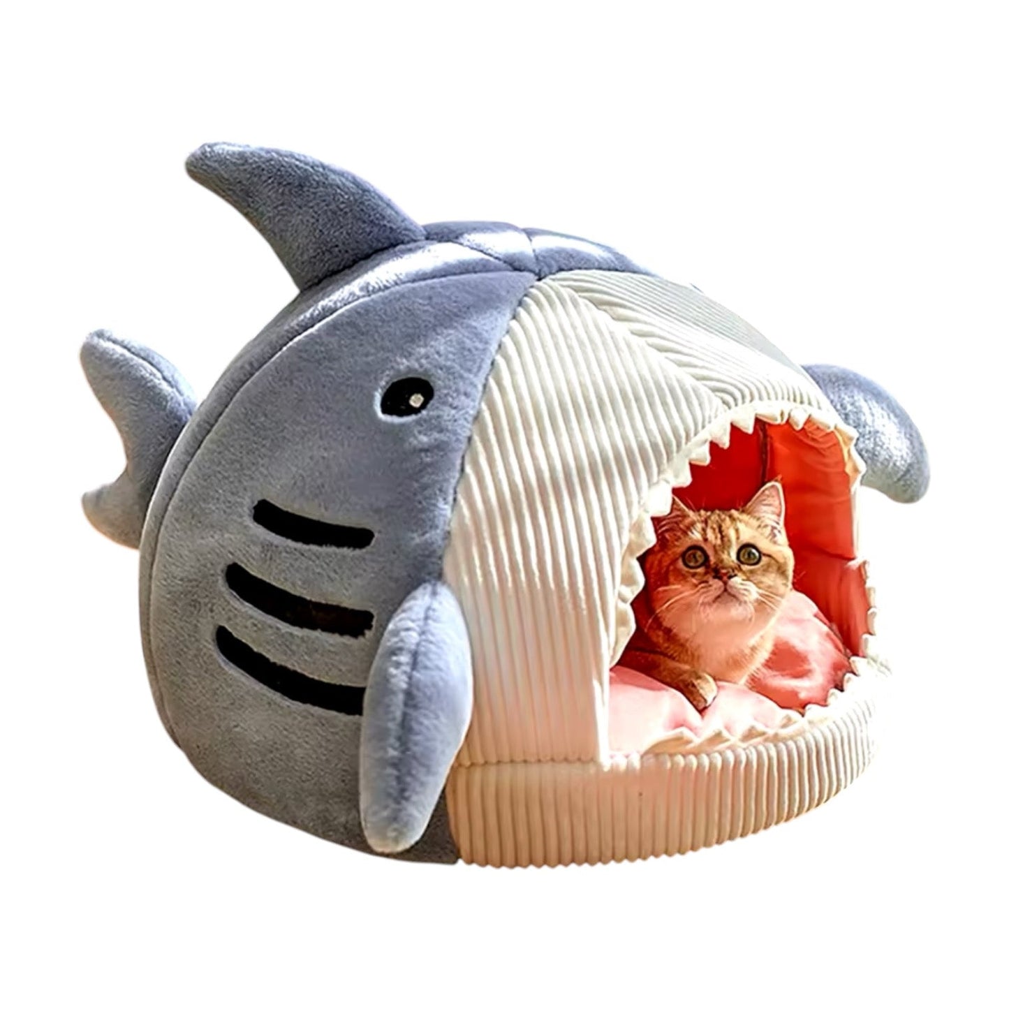 Niche pour chat style requin