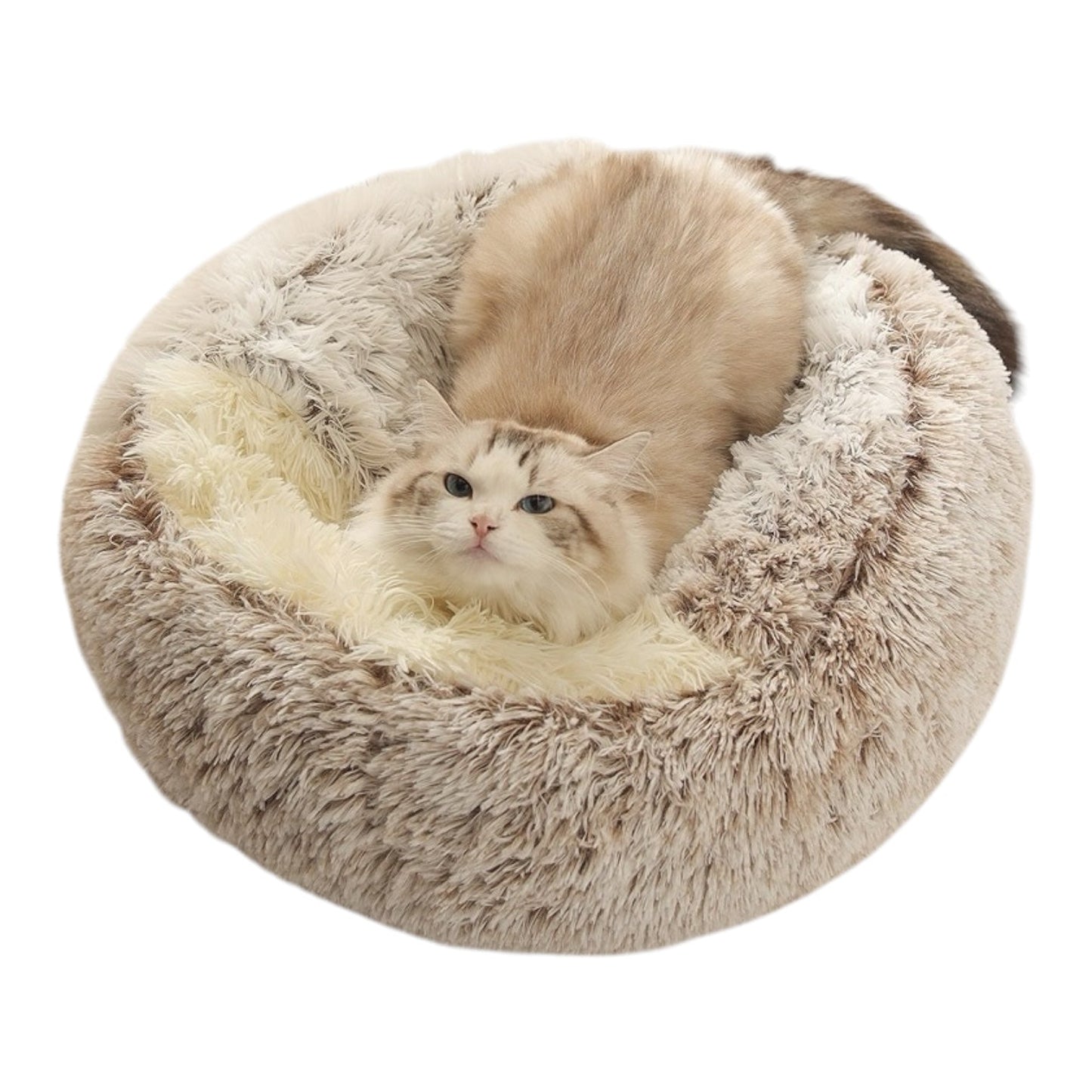 Coussin chat