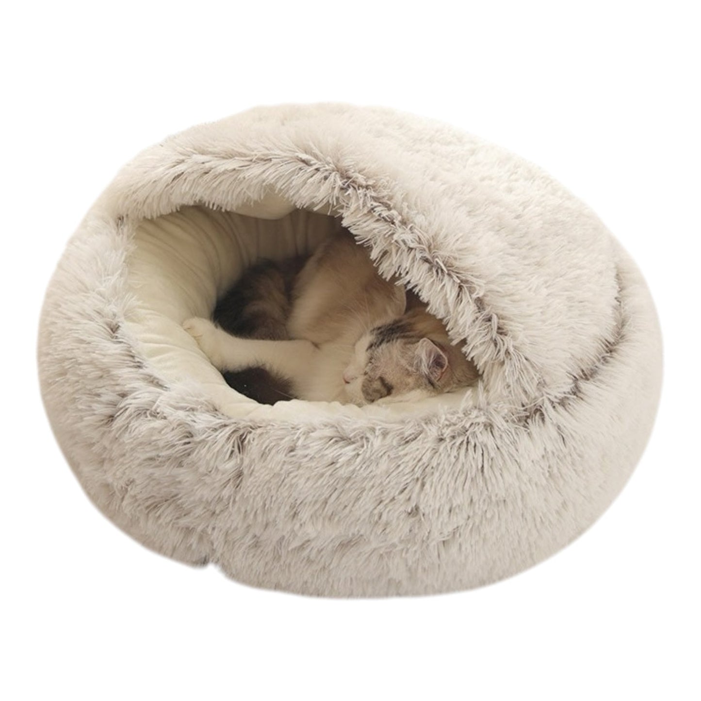 Coussin chat