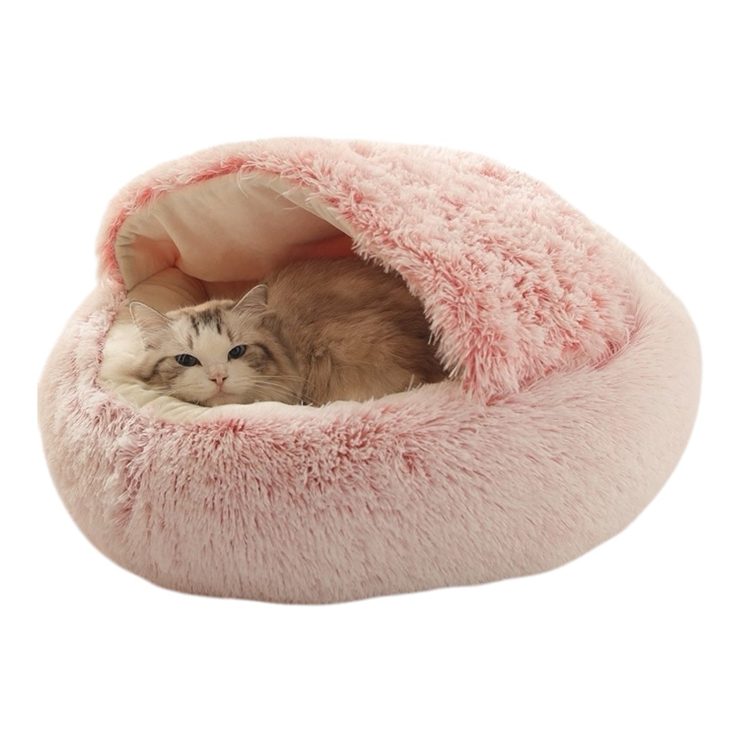 Coussin chat