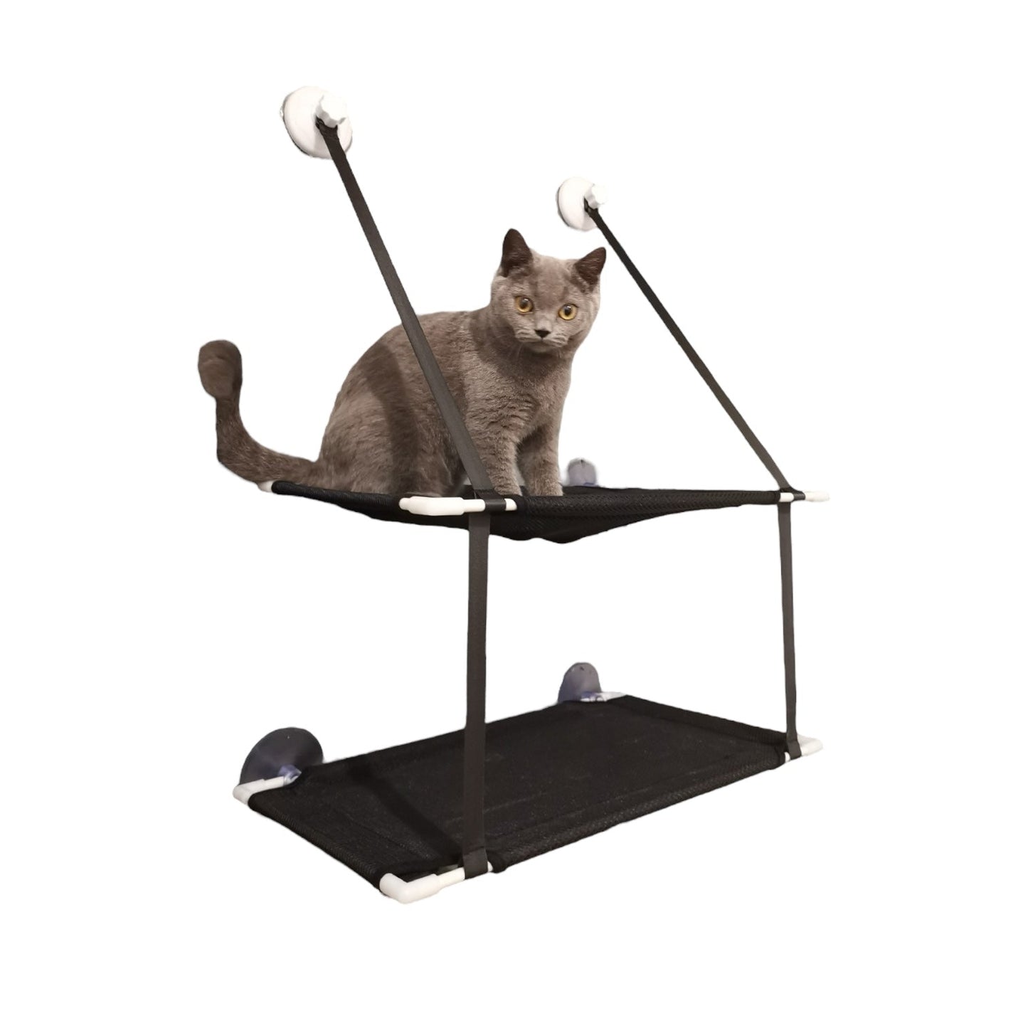 Hamac pour chat fenêtre