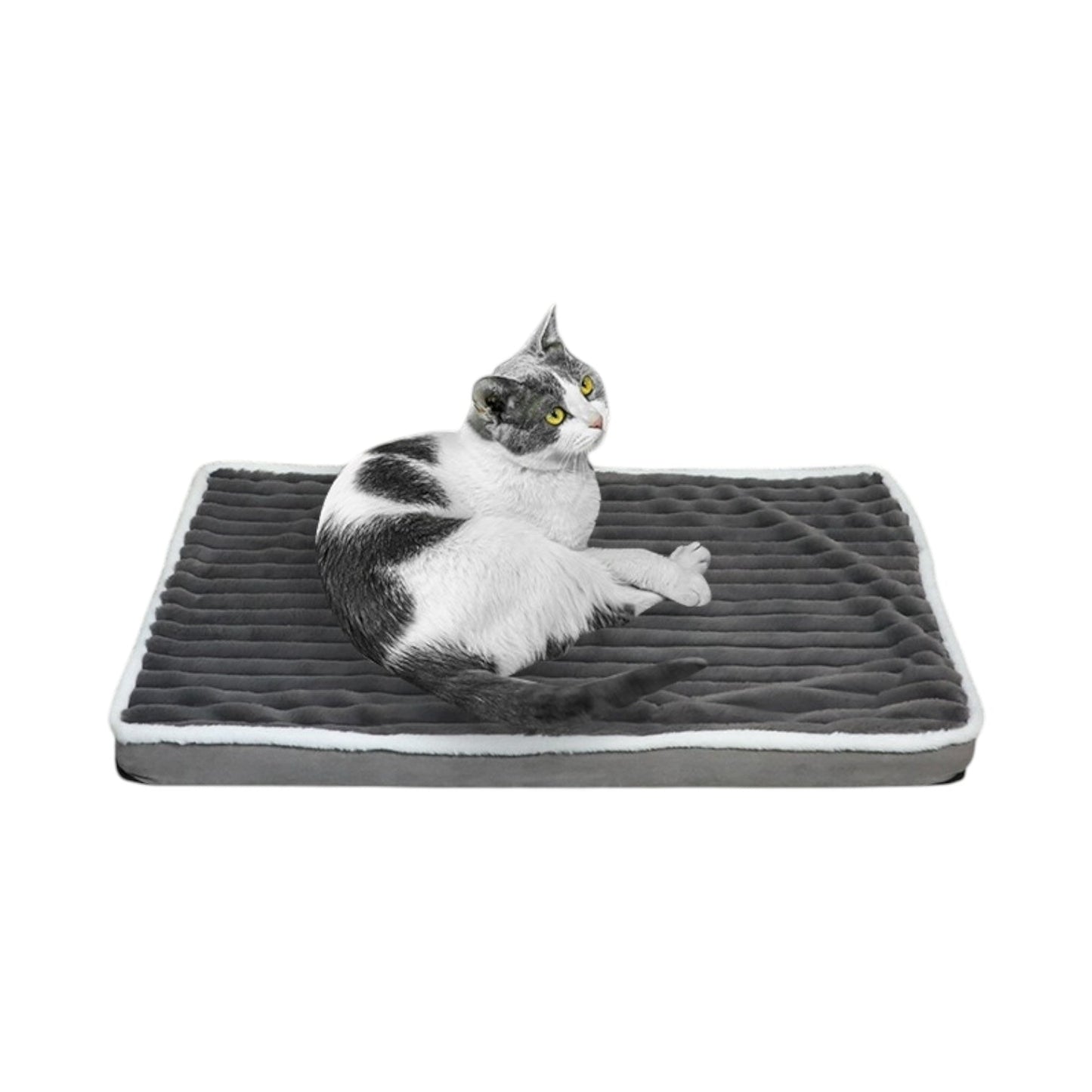 Matelas pour chat