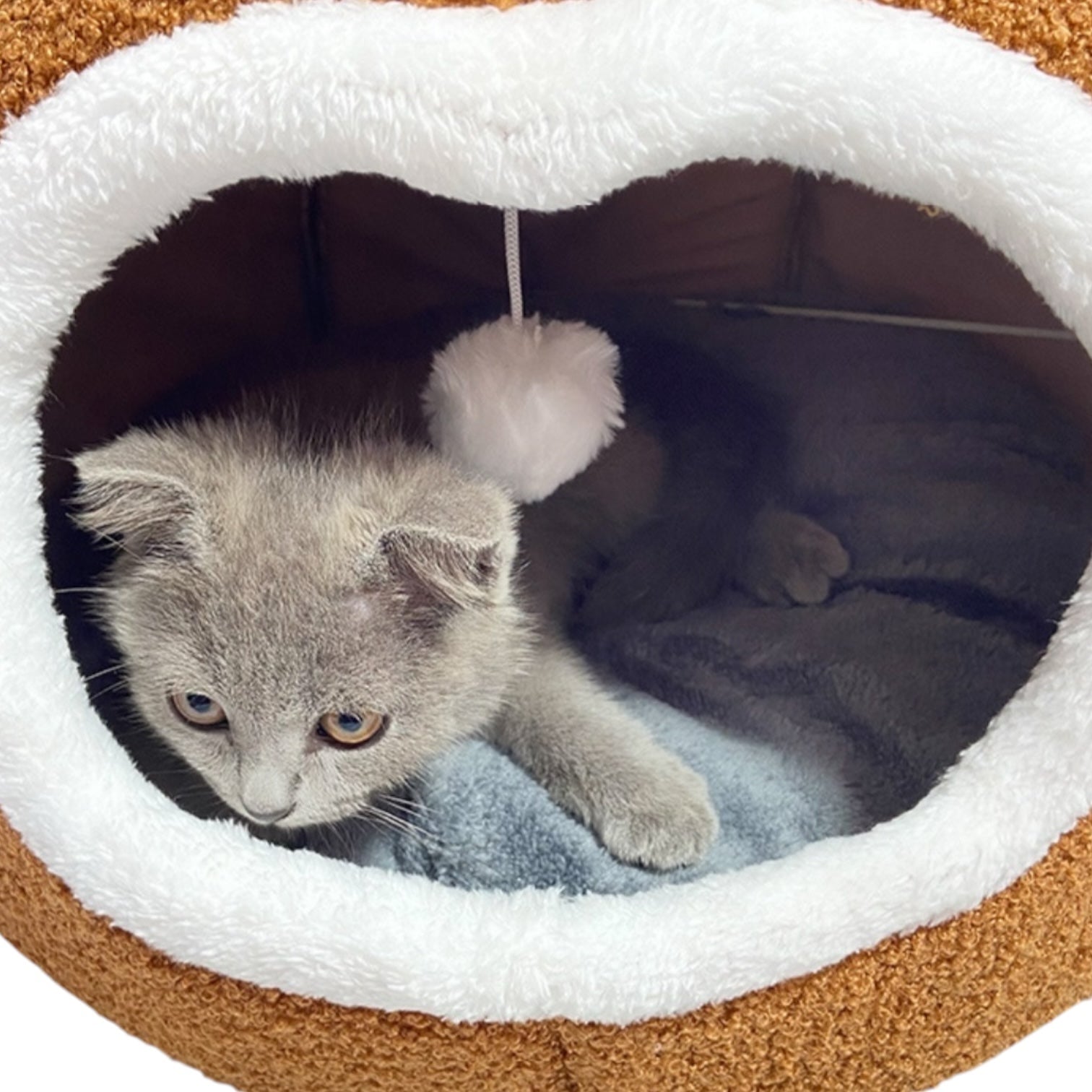 Niche pour chat intérieur