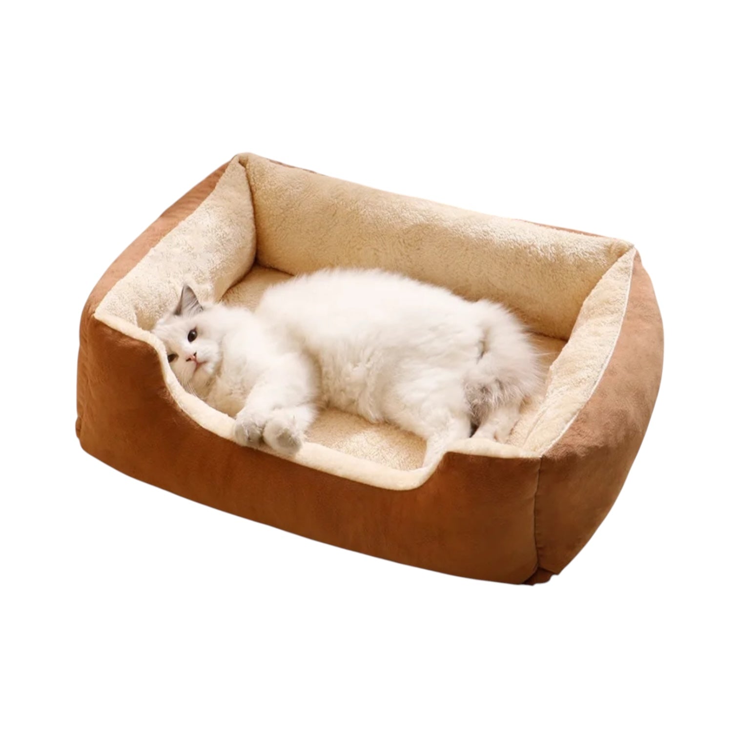 Panier chat design moumoute