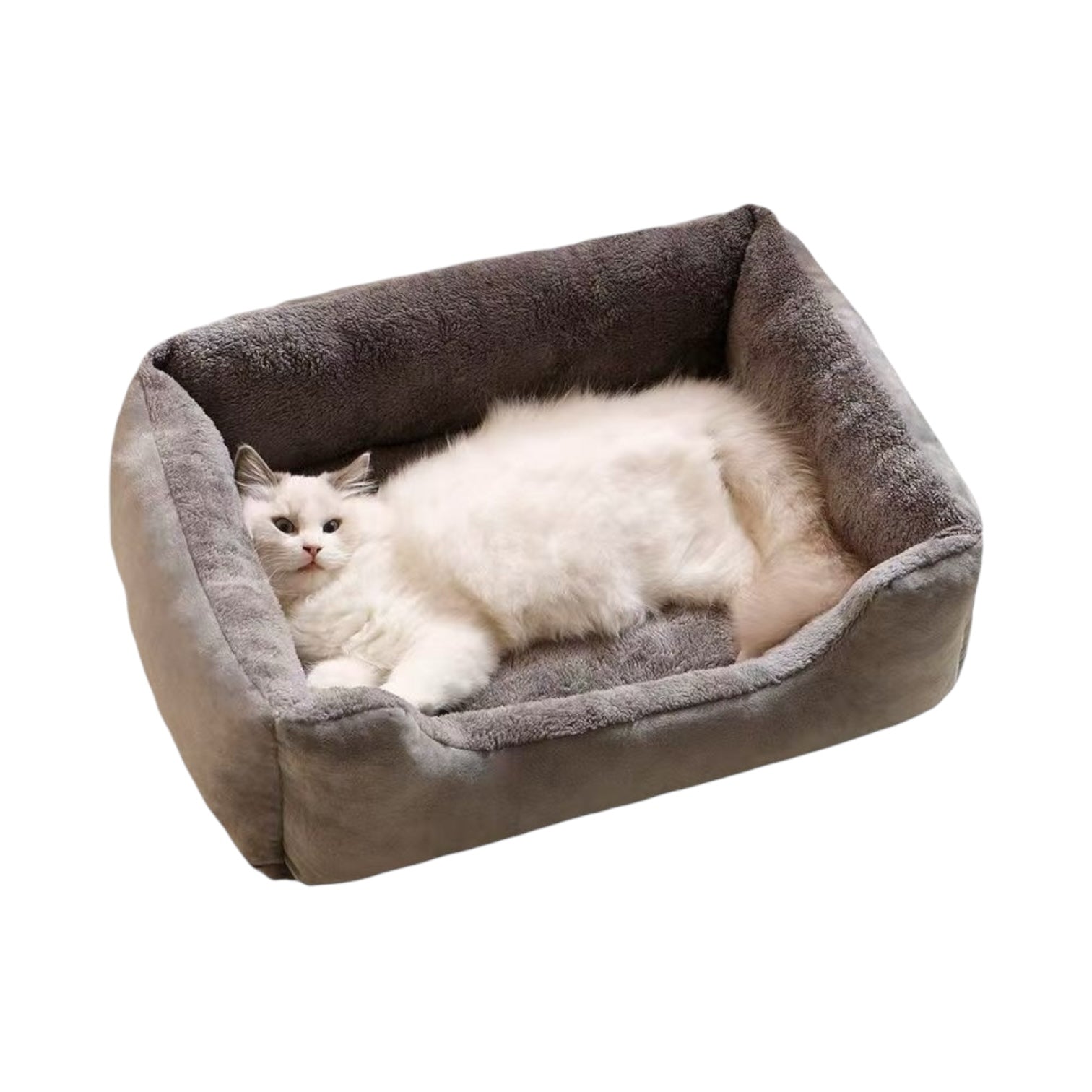 Panier chat design moumoute