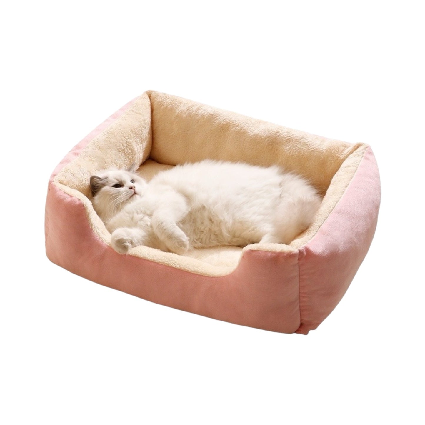 Panier chat design moumoute
