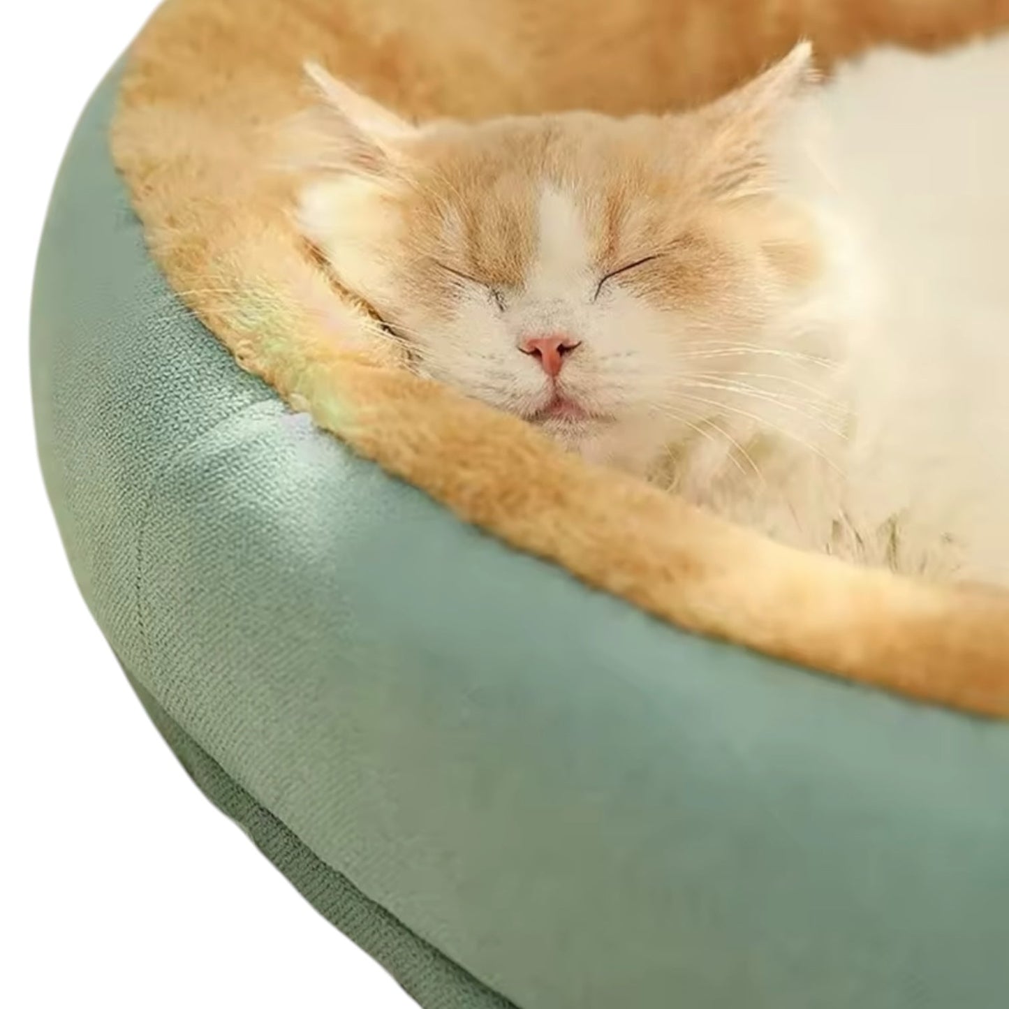 Large Cat Bed – Modern Design Basket for Big Cats