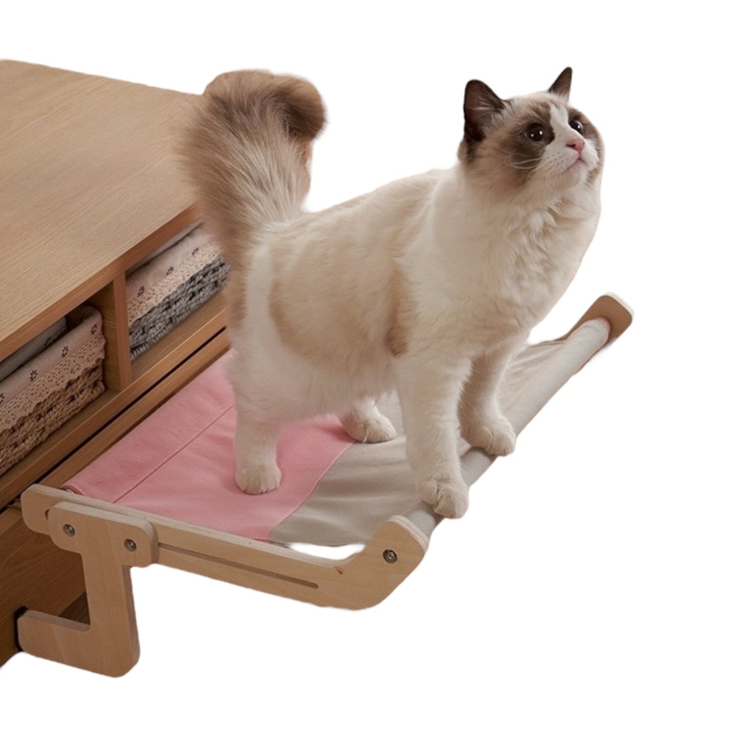 Hanging Cat Bed – Suspended Basket Hammock for Cats