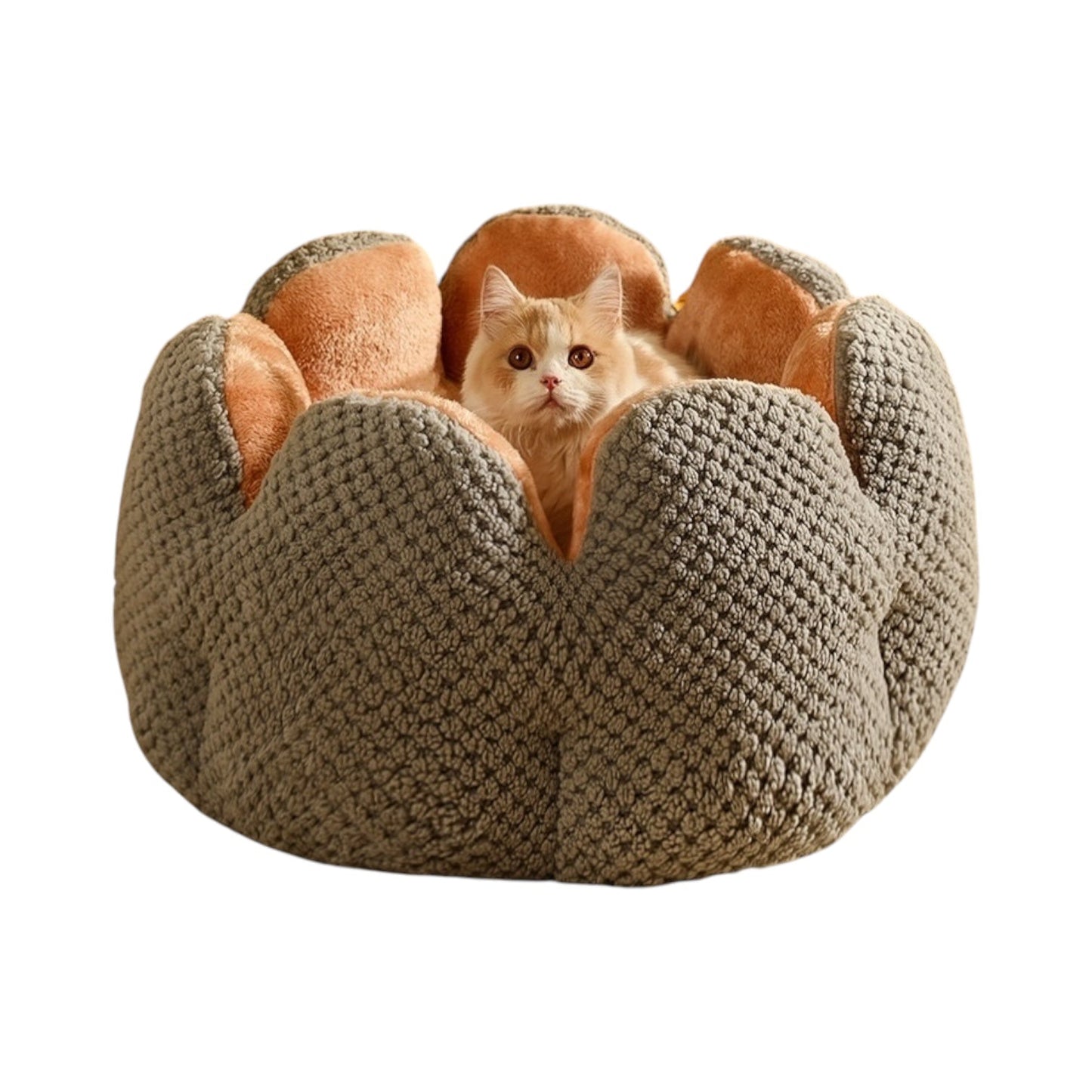 Cat Bean Bag Bed – Plush Pouf Ottoman for Cats