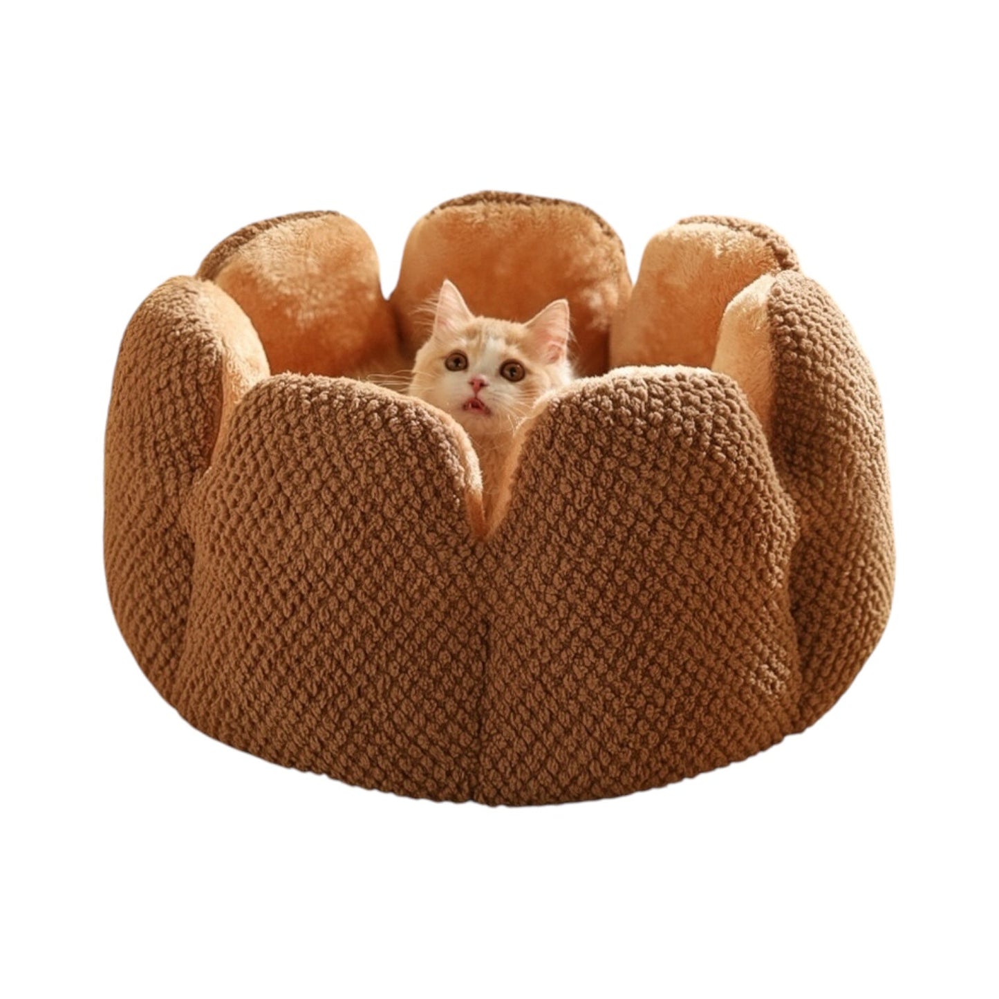Cat Bean Bag Bed – Plush Pouf Ottoman for Cats