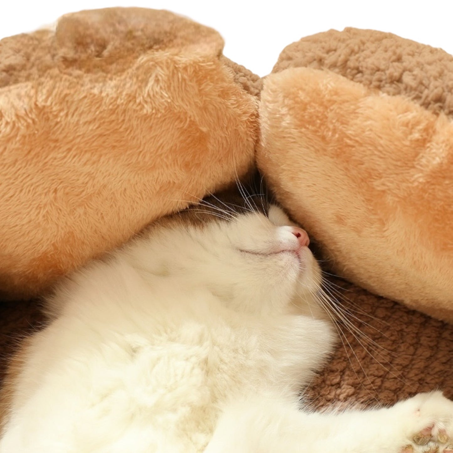 Cat Bean Bag Bed – Plush Pouf Ottoman for Cats