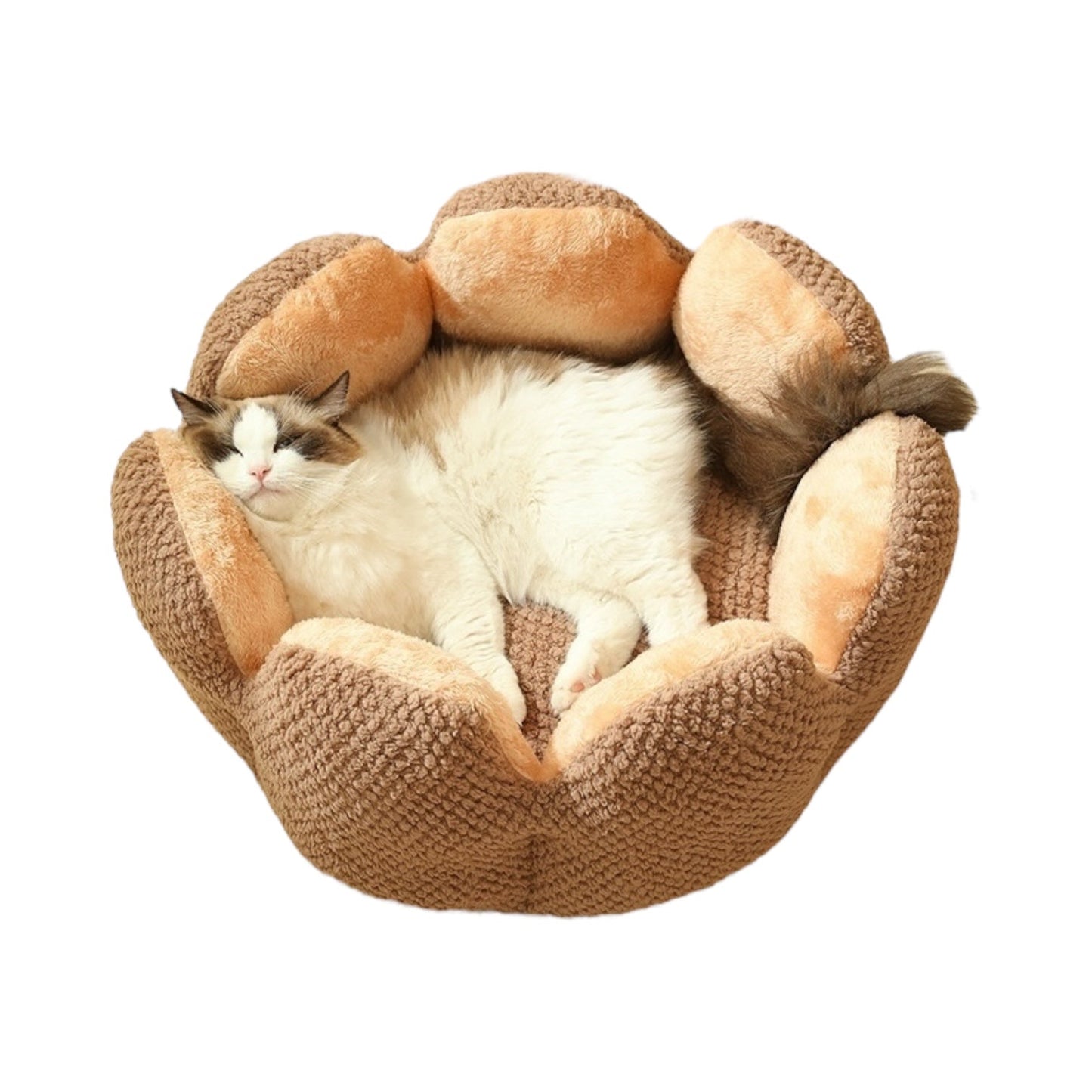 Cat Bean Bag Bed – Plush Pouf Ottoman for Cats