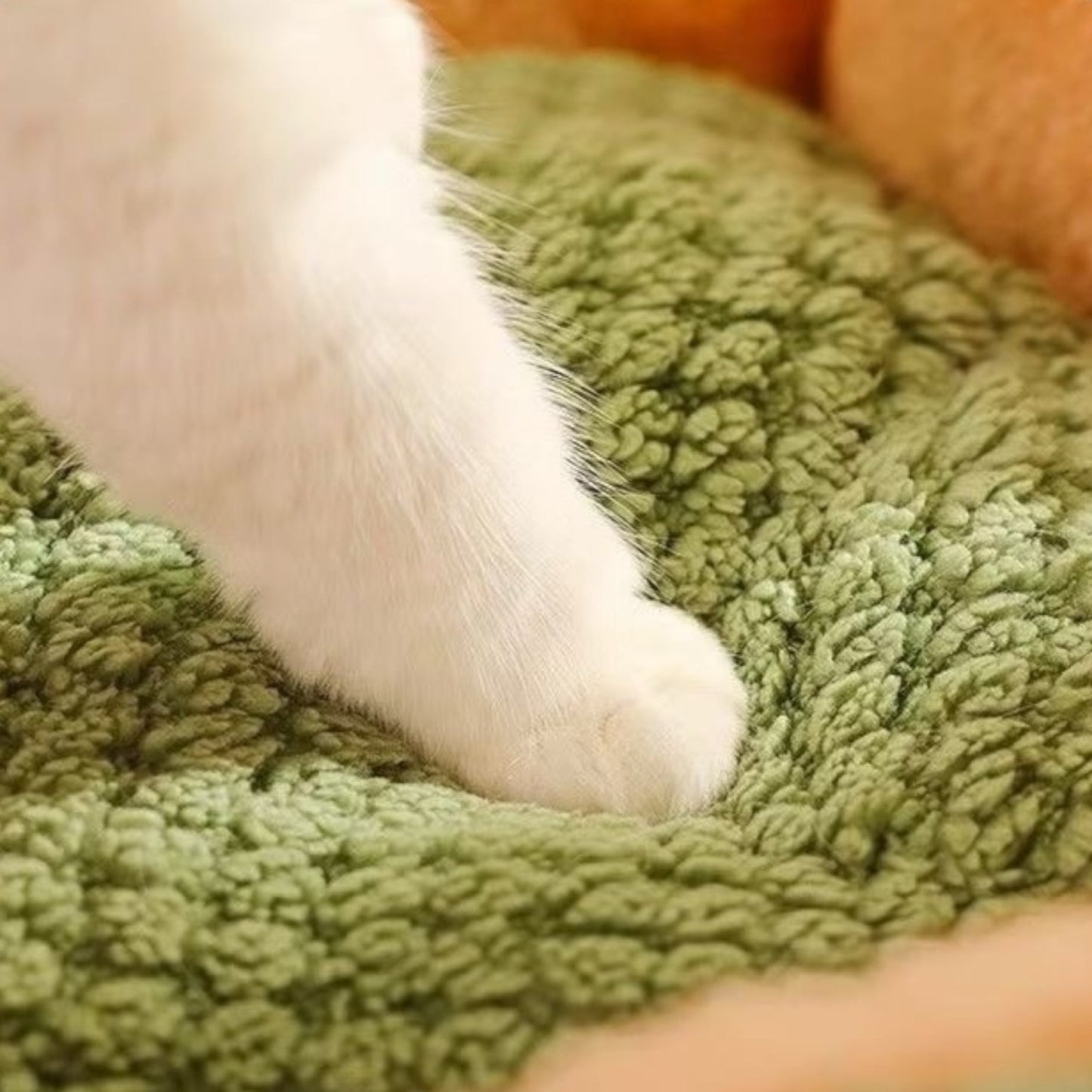Cat Bean Bag Bed – Plush Pouf Ottoman for Cats