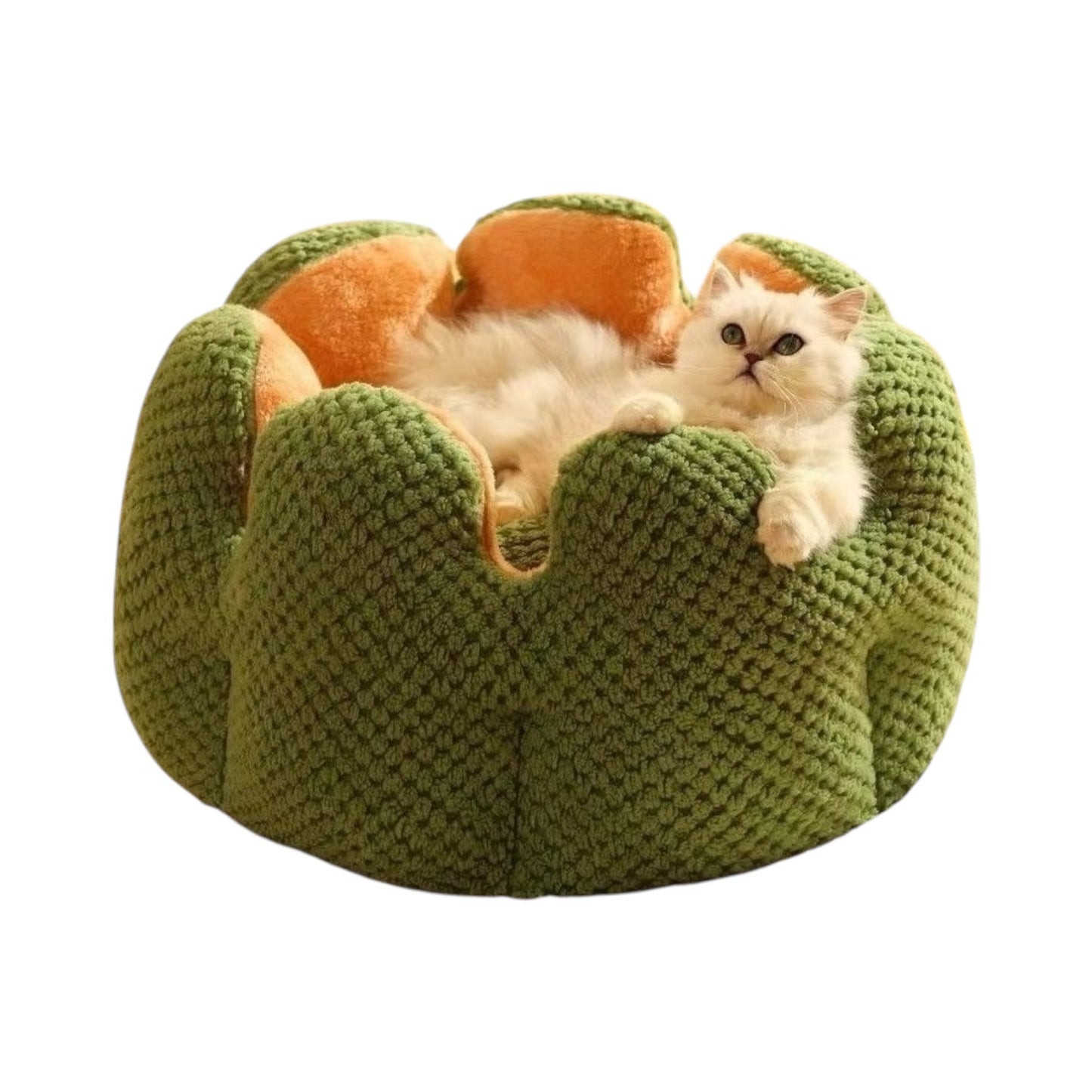 Cat Bean Bag Bed – Plush Pouf Ottoman for Cats