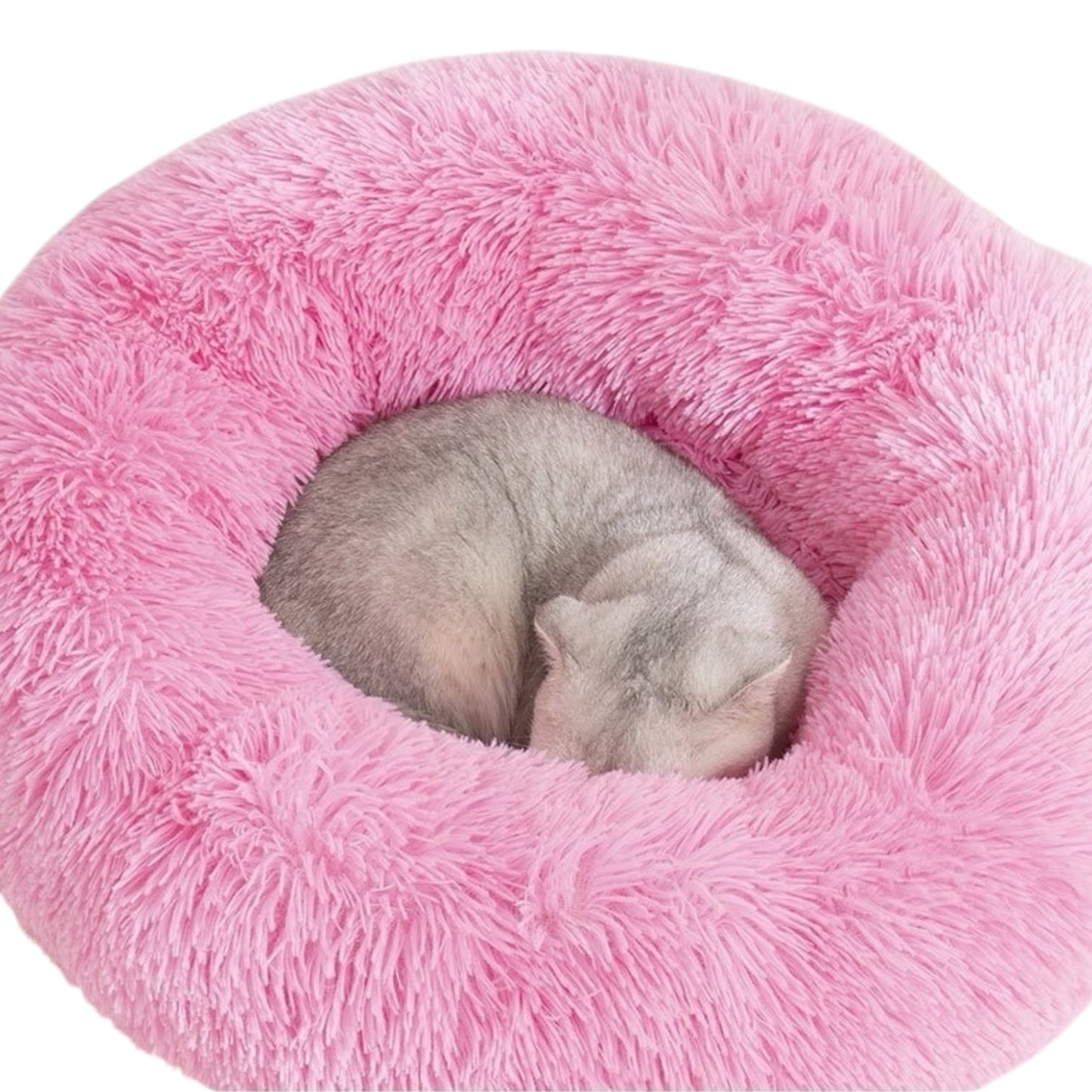 Cat Pouf Bed – Cozy Bean Bag Ottoman for Cats