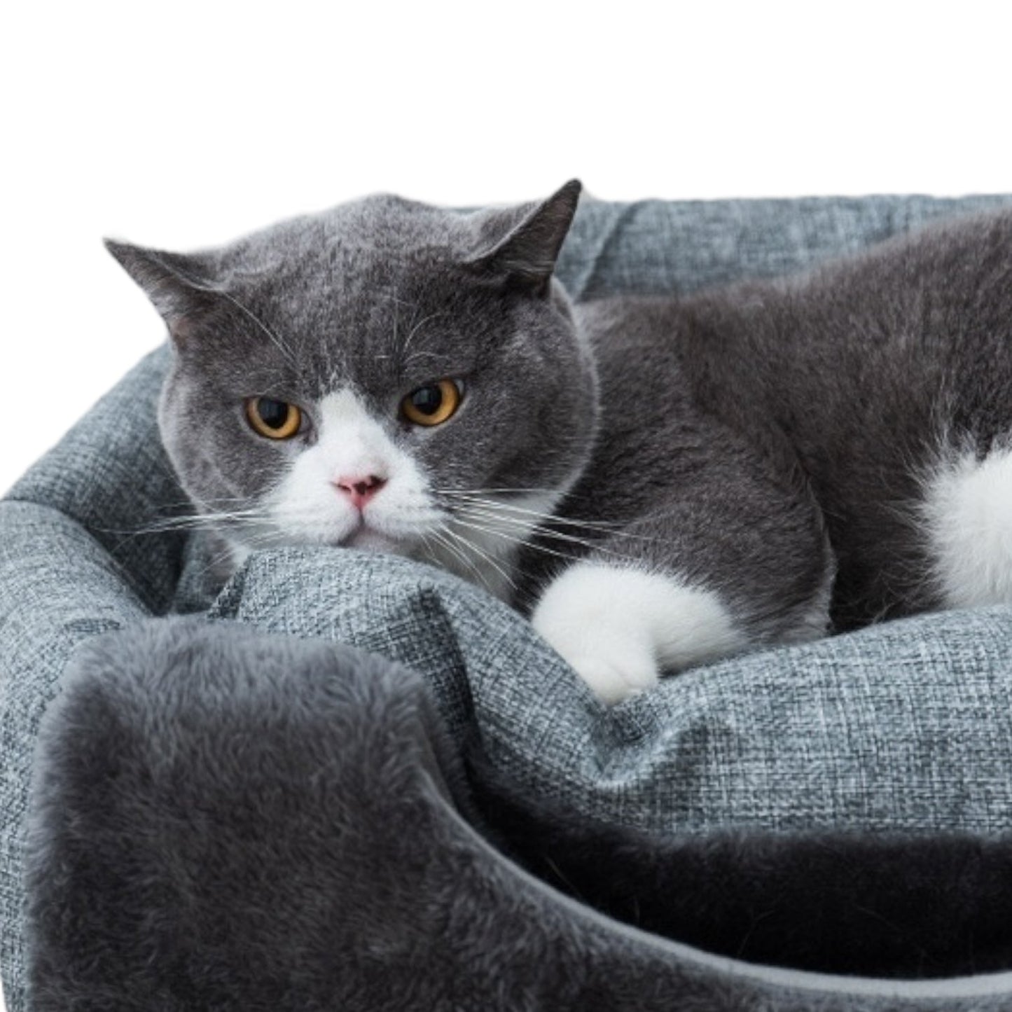 Plush Cat Tent – Soft Fluffy Indoor Bed for Cats