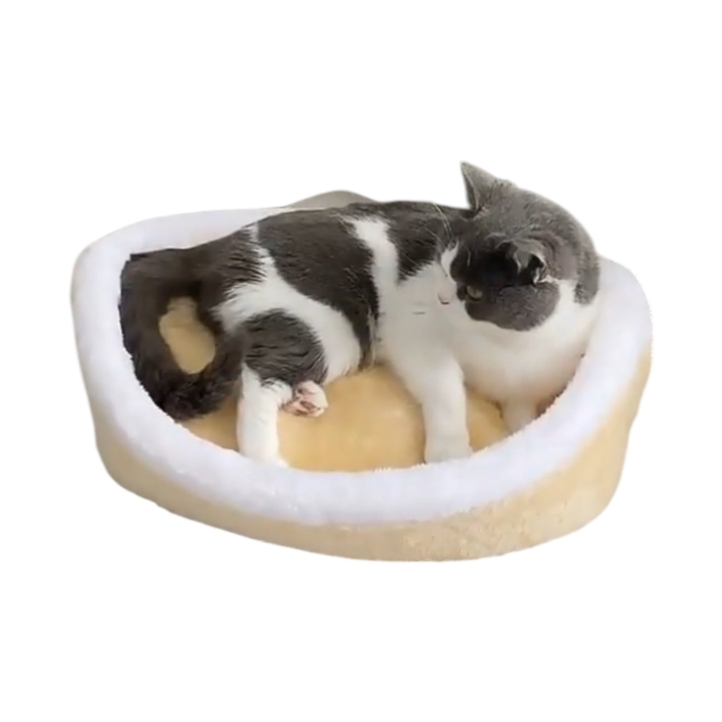 Cocon pour chat