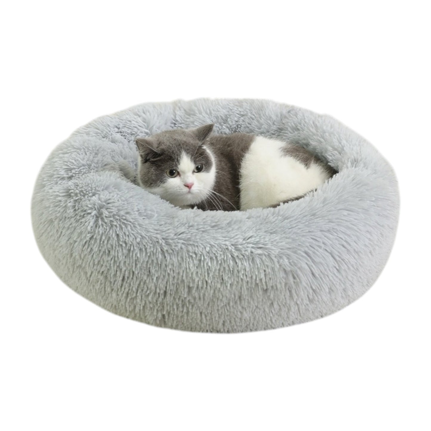 Coussin à chat