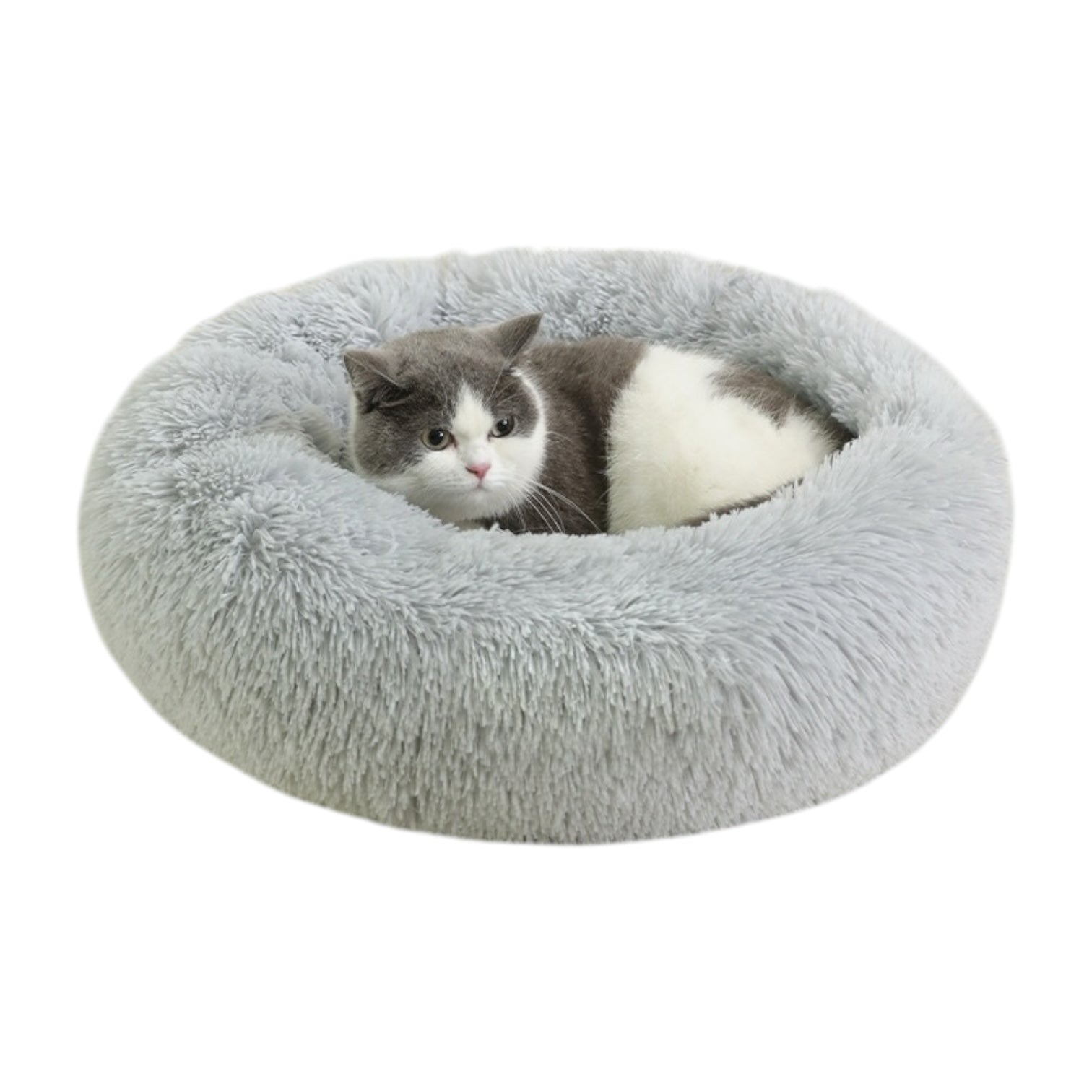 Coussin à chat
