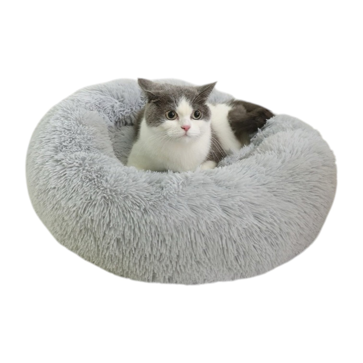 Coussin à chat