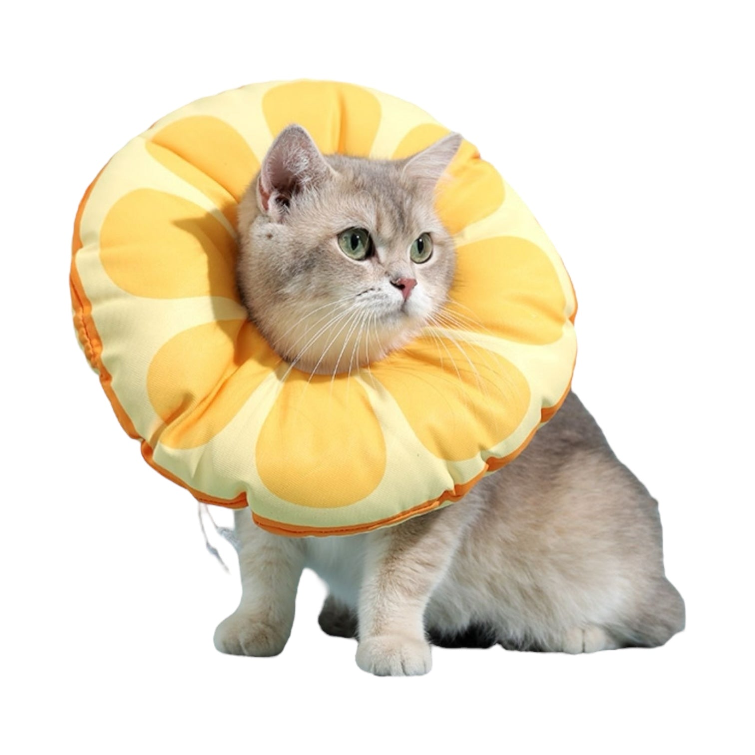 Coussin anti stress chat