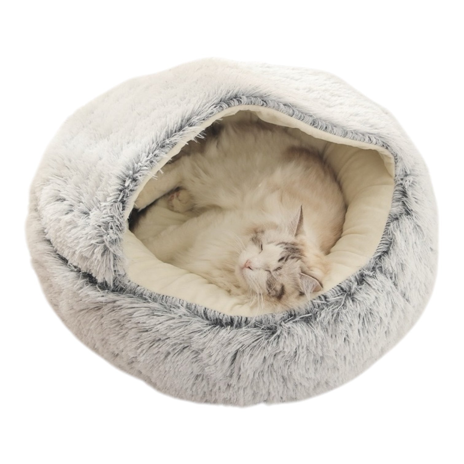 Coussin chat