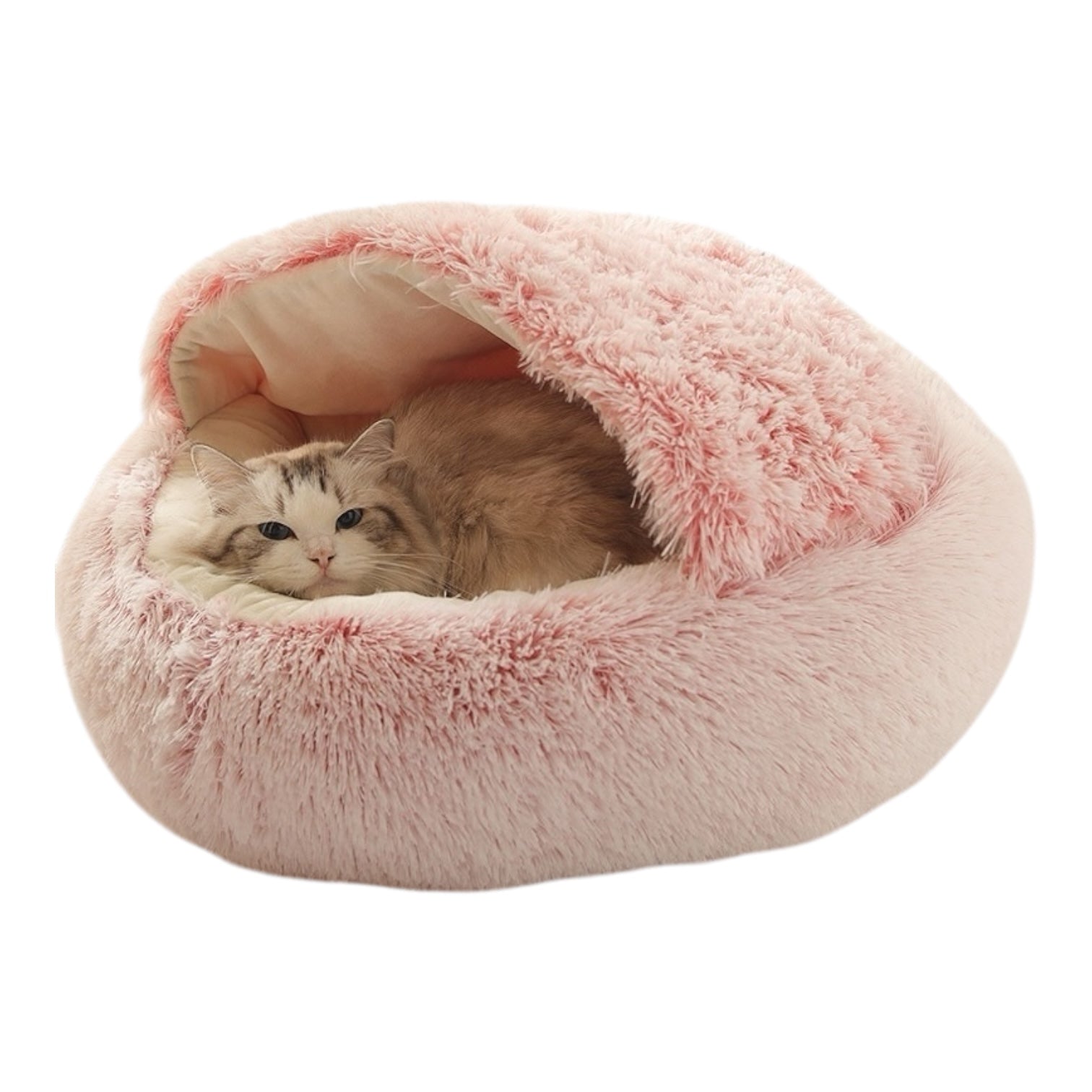 Coussin chat