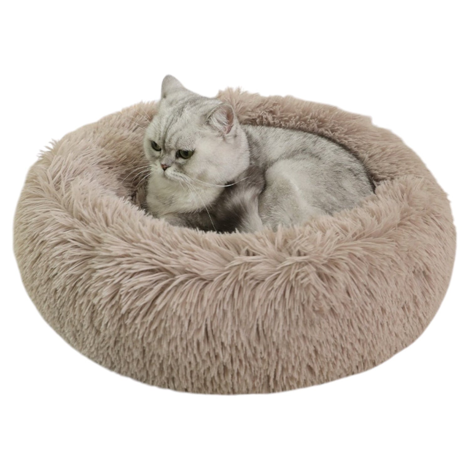 Coussin pour chat