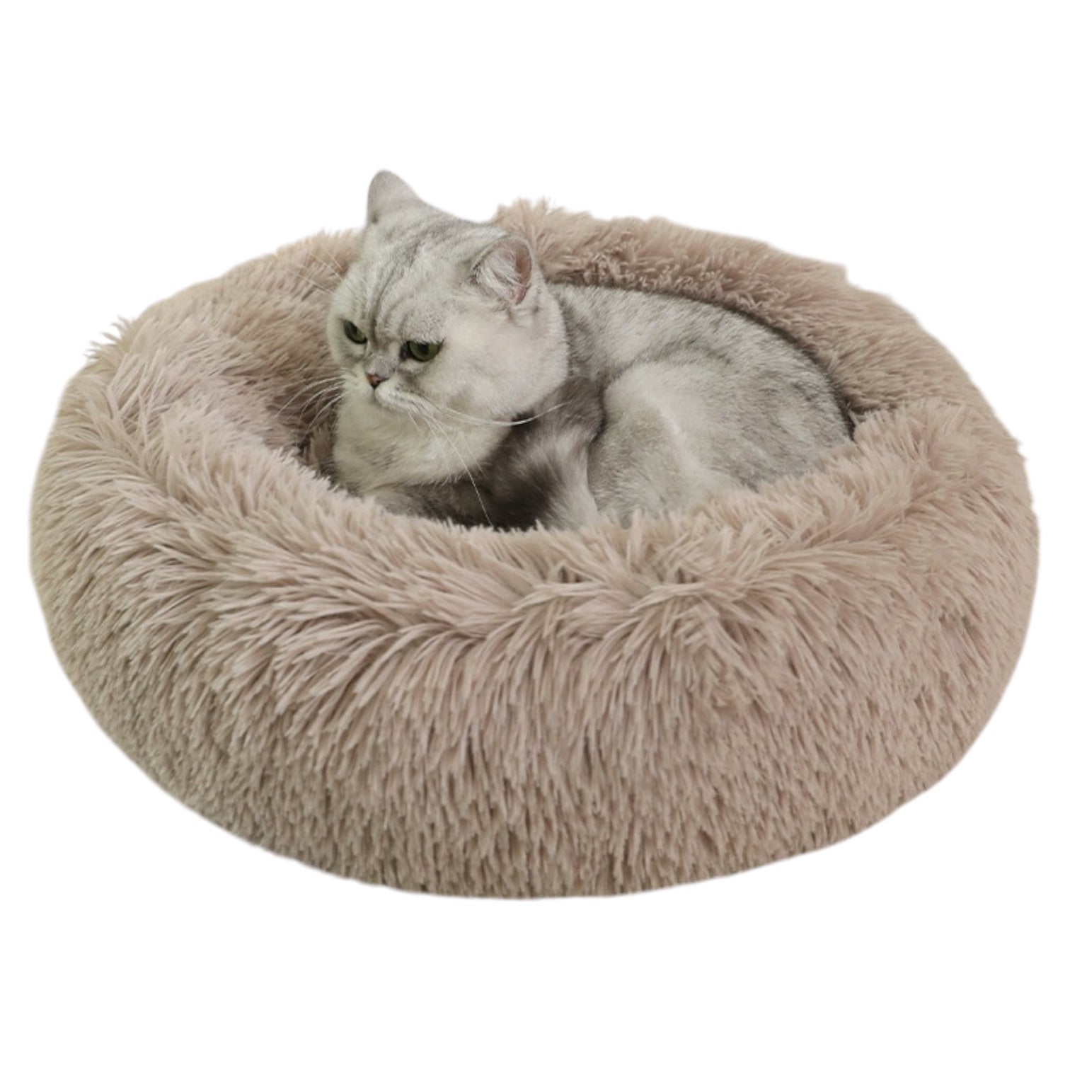 Coussin pour chat