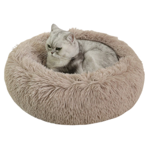 Coussin pour chat