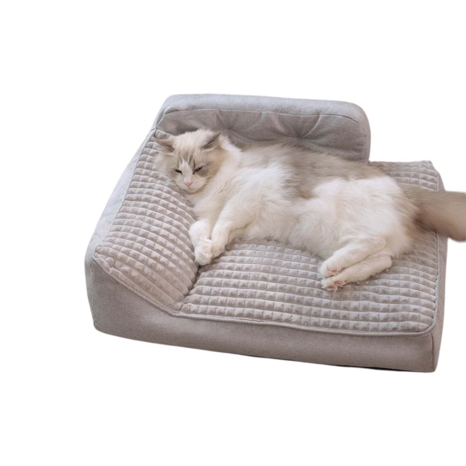 Lit douillet pour chat