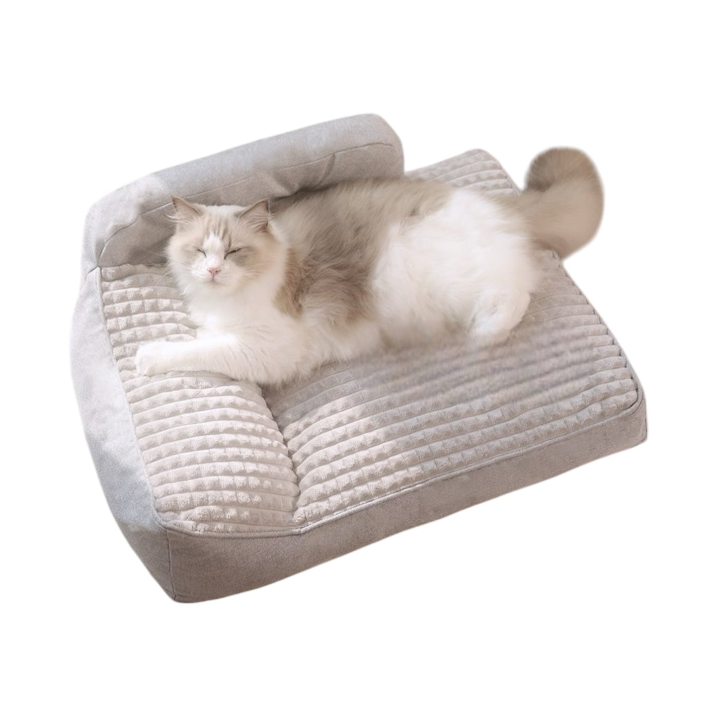 Lit douillet pour chat