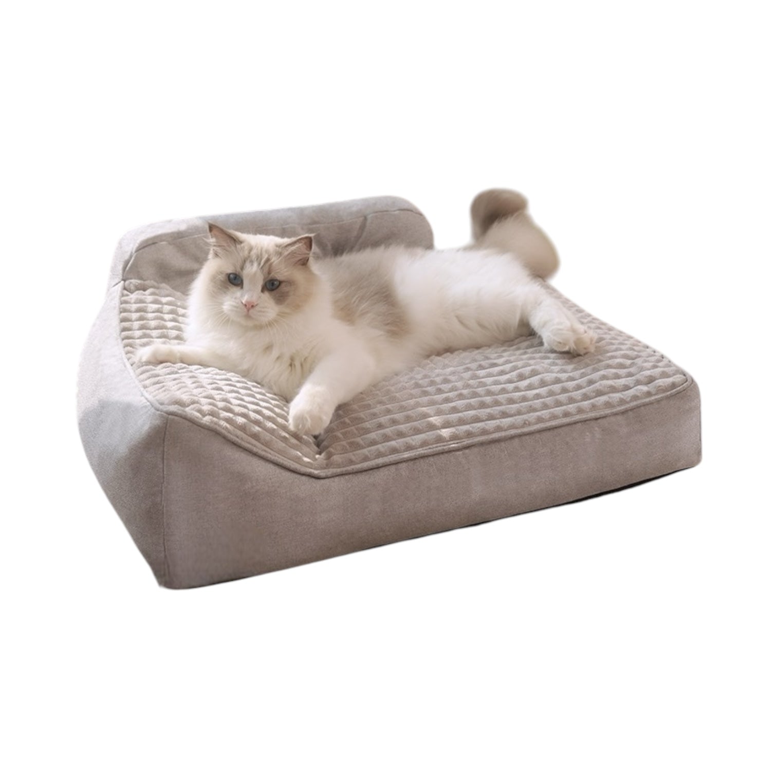 Lit douillet pour chat