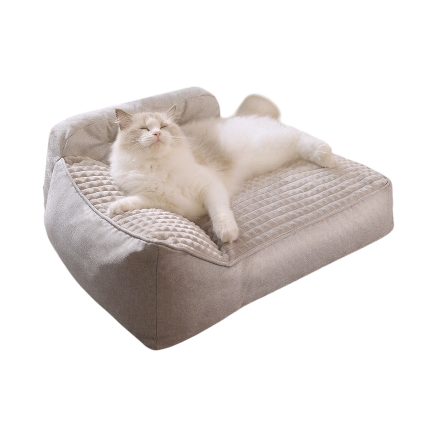 Lit douillet pour chat