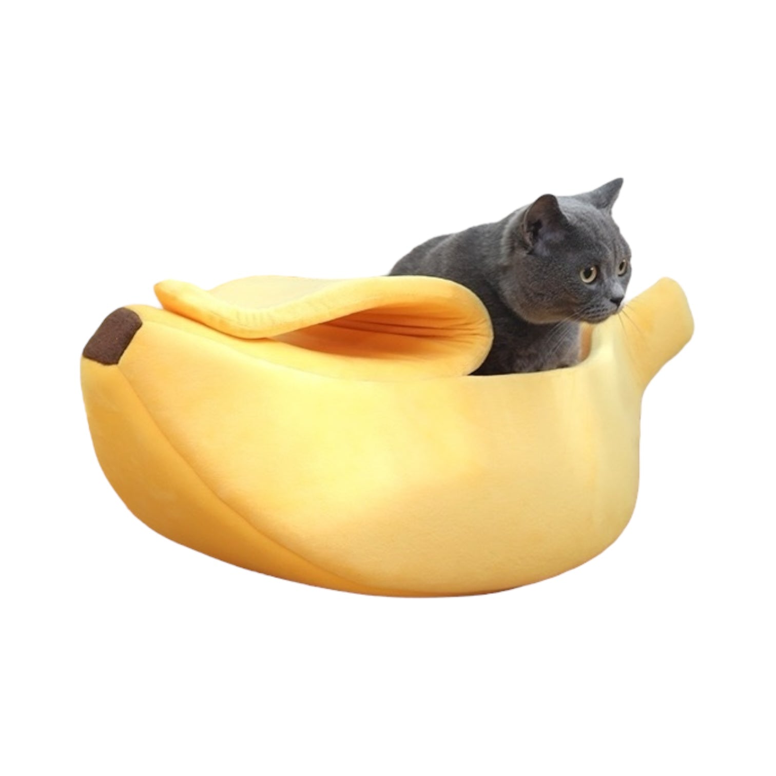 Lit pour chat banane