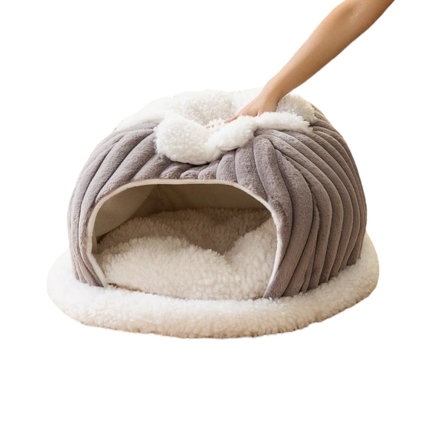 Maison douce pour chat intérieur