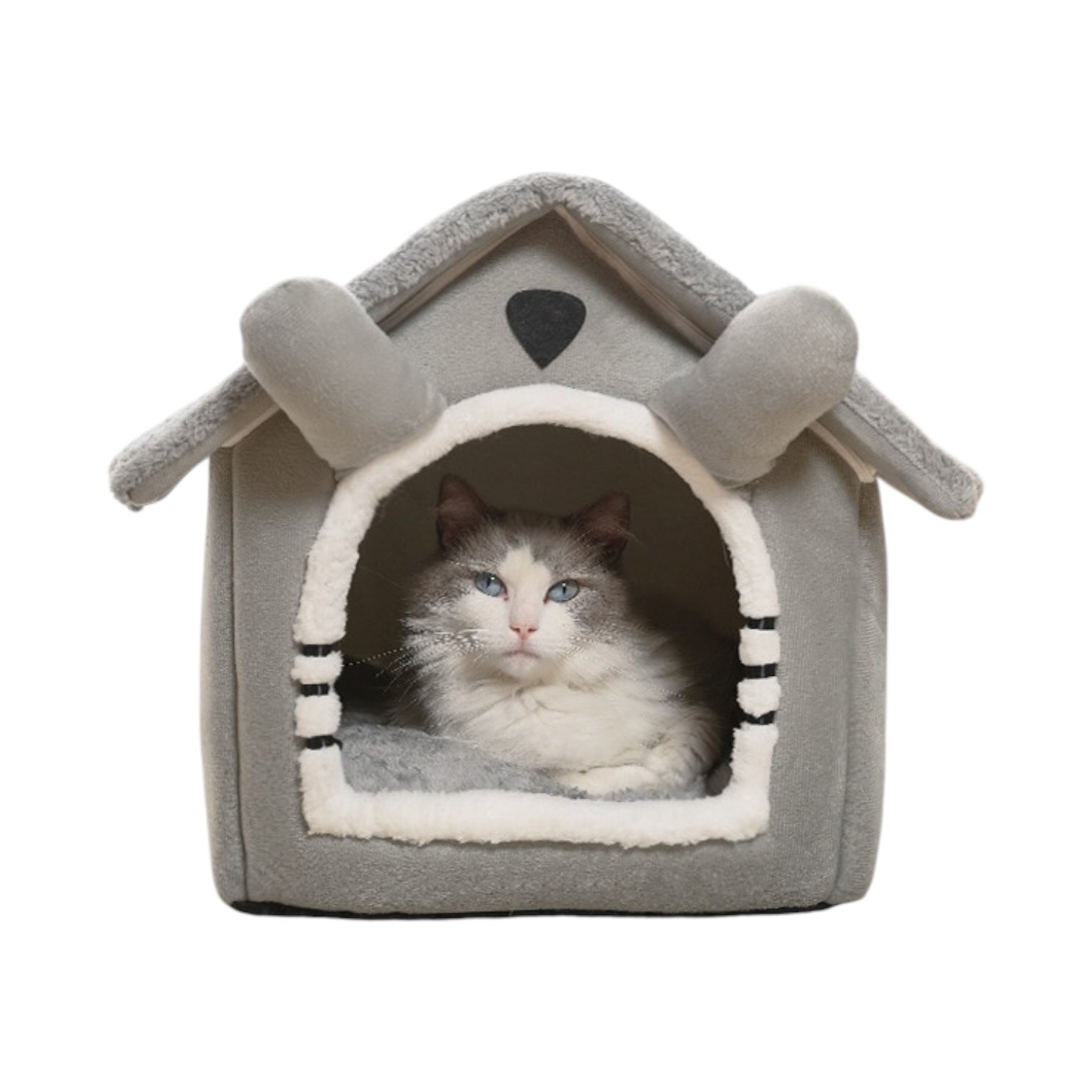 Maison douillette pour chat