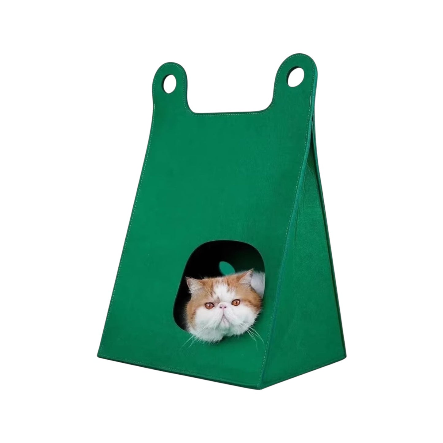 Maison pour chat design - Vert