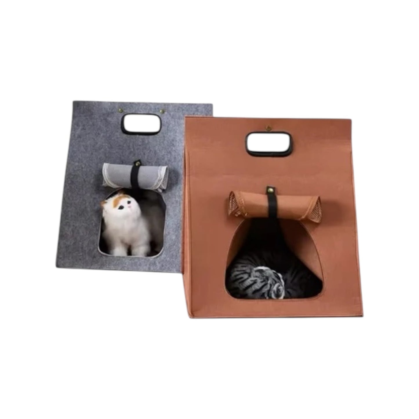 Maison pour chat design