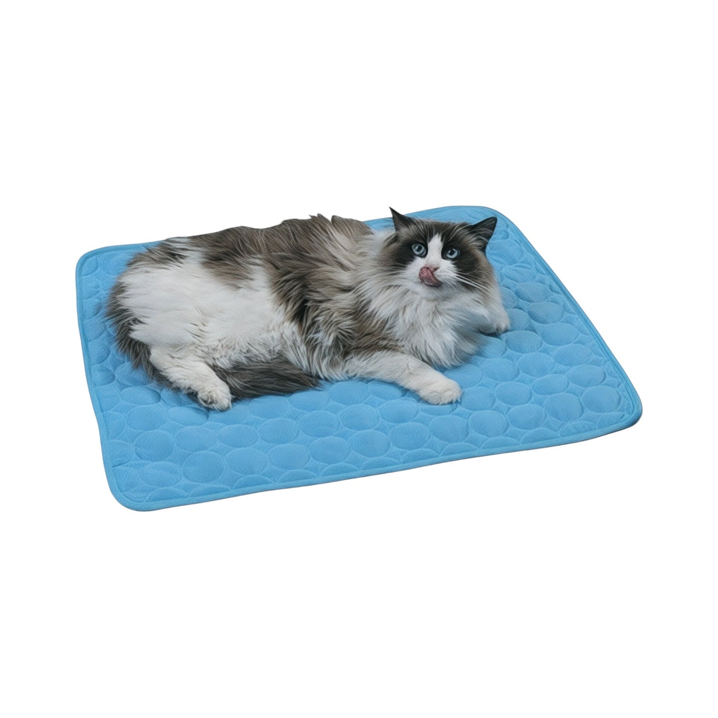 Cat Cooling Mat – Bubble Design Summer Pad for Pets